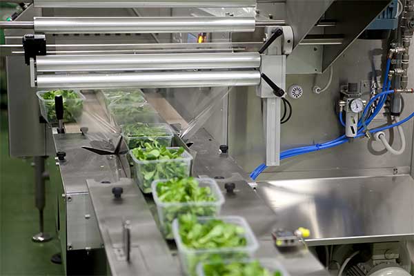 瓜果蔬菜全自動脫水蔬菜包裝機(jī)